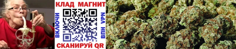 Что такое Пионерский COCAIN  Alpha PVP  МАРИХУАНА  Псилоцибиновые грибы  Меф мяу мяу 