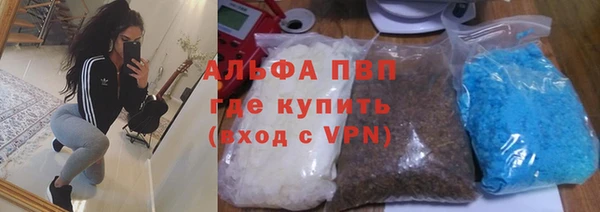 ПСИЛОЦИБИНОВЫЕ ГРИБЫ Белоозёрский