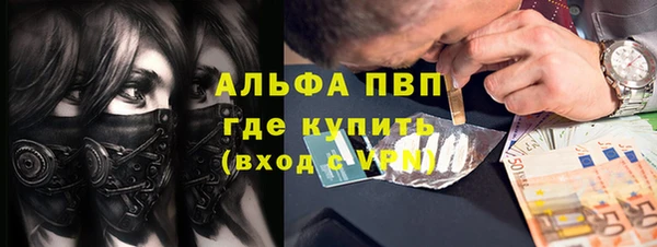 apvp Белокуриха