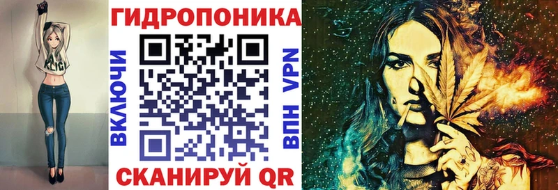Марихуана семена  кракен как войти  Пионерский 